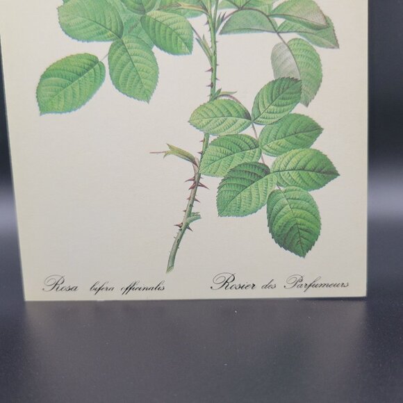 Vintage Fantusy Get Well Greeting Card Envelope Pink Roses Well Wishes Unused - Picture 5 of 6